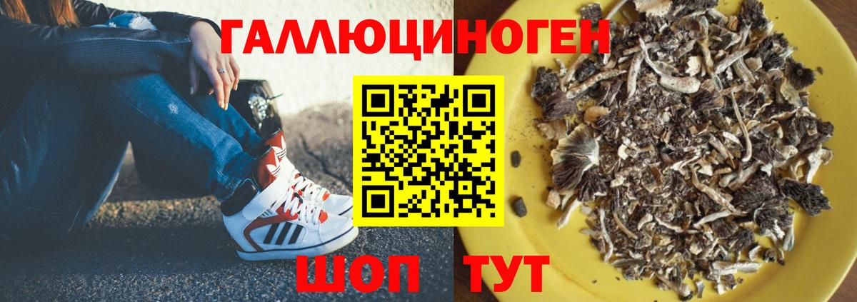 Псилоцибиновые грибы MAGIC MUSHROOMS  Вход с VPN  Псилоцибиновые грибы Cubensis  Урюпинск 